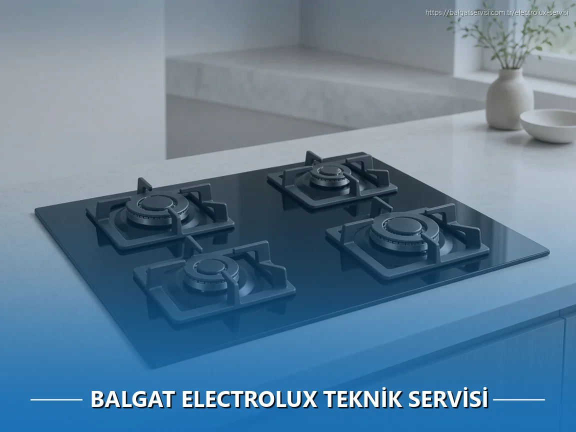 Balgat Electrolux Teknik Servisi