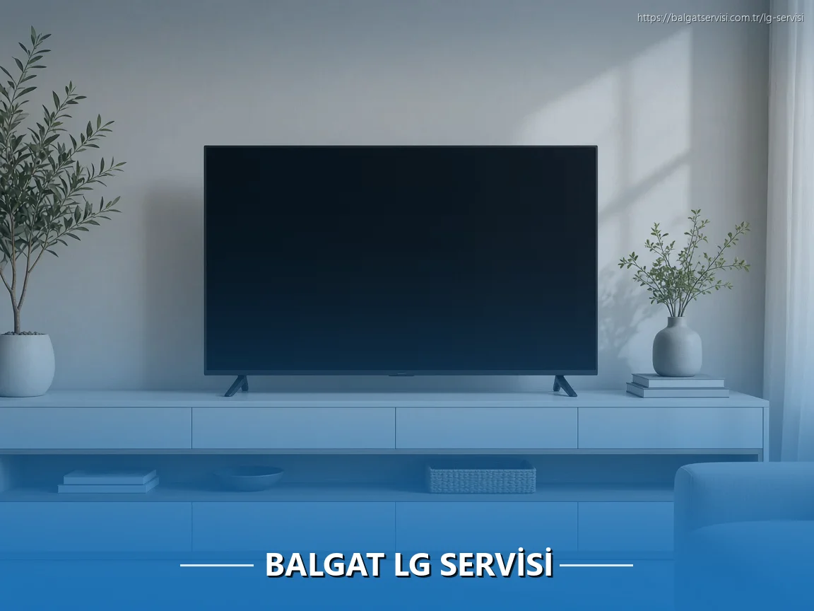 Balgat LG Servisi