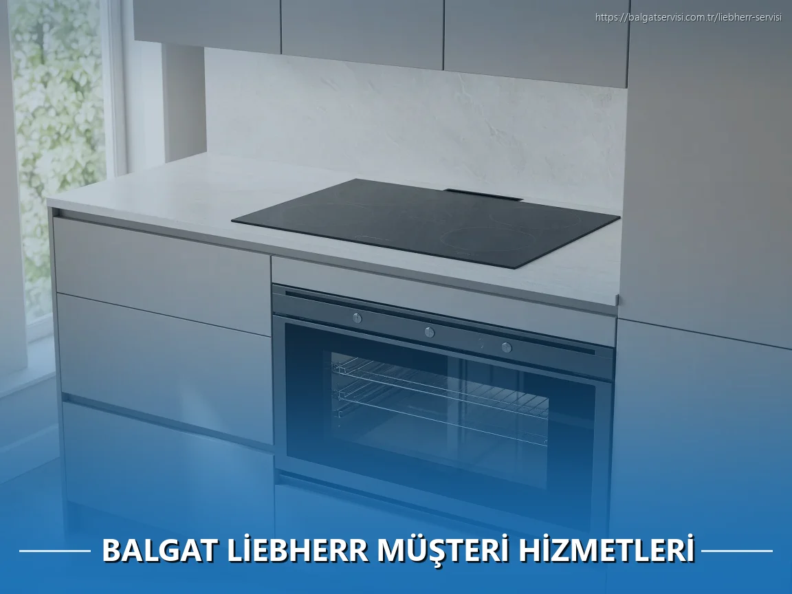 Balgat Liebherr Müşteri Hizmetleri