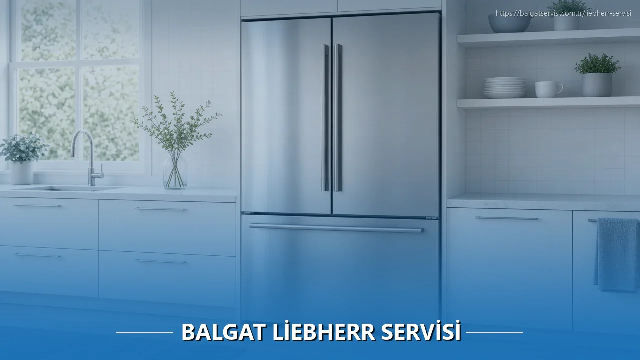 Balgat Liebherr Servisi