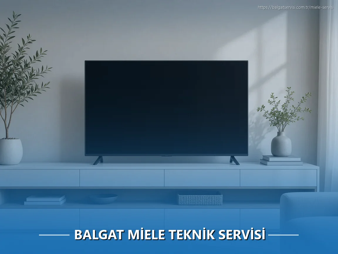 Balgat Miele Teknik Servisi